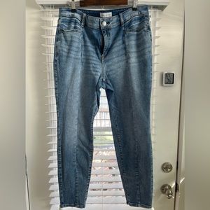 Lane Bryant Front Seam Skinny Jeans